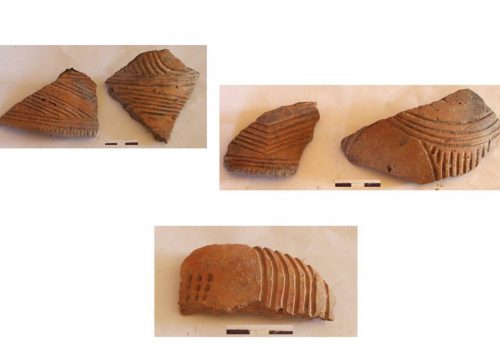 Фрагменти трипільської кераміки з ритим орнаментом, з експедиції 2003 року, с. Долина