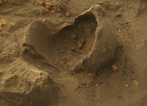 Коломийців Яр, розкопки 2006 року