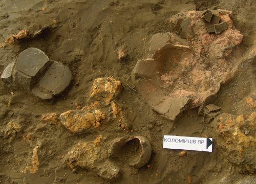 Коломийців Яр, розкопки 2006 року, фрагменти трипільського посуду
